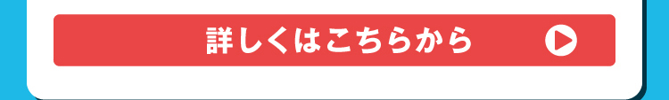 サンバカーニバル　詳細はこちら