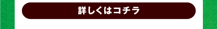 詳しくはコチラ